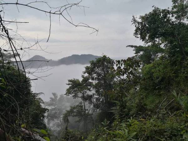 Peluang melihat kabus di puncak pendakian.