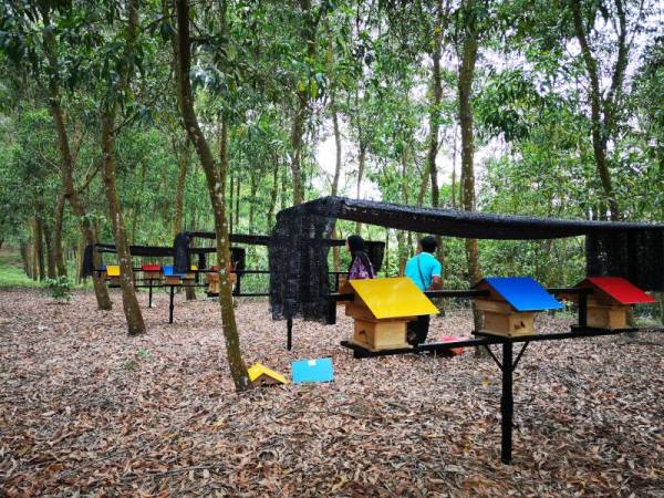 PROJEK Mustafa Hive yang diusahakan untuk menjana pendapatan komuniti setempat.