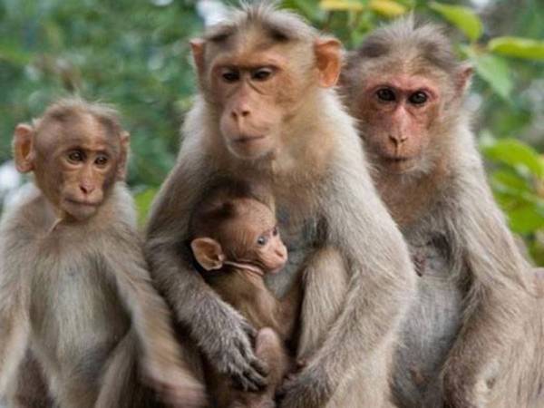 Gambar hiasan - Foto internet