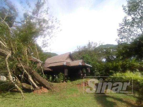 Dua pokok terletak berhampiran Rumah Warisan tumbang pada Rabu lepas.