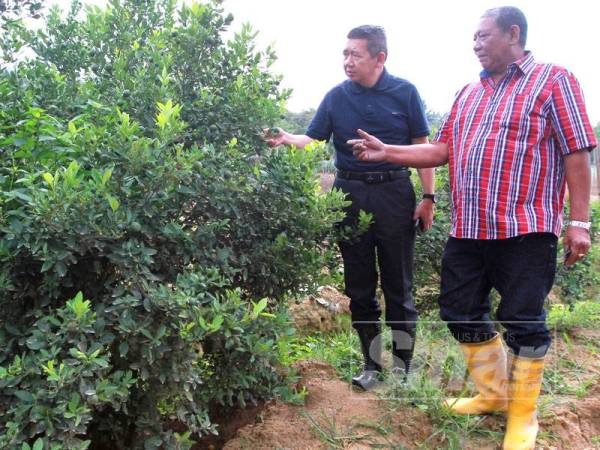 Salahuddin (kiri) mendengar penerangan daripada peserta projek kelompok bimbingan Jabatan Pertanian Malaysia (DOA) di Sepang, Selangor.