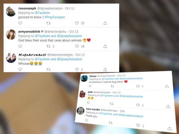 Antara komen netizen yang bersyukur kucing di Pulau Okishima terselamat dari Taufan Hagibis.