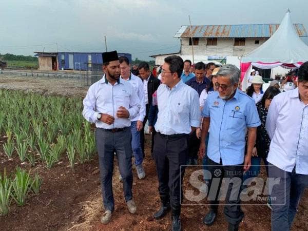 
Tze Tzin (tengah) melawat Ladang Nanas Aqina Plantation Sdn Bhd di Kampung Sungai Sam, Pontian kelmarin.
