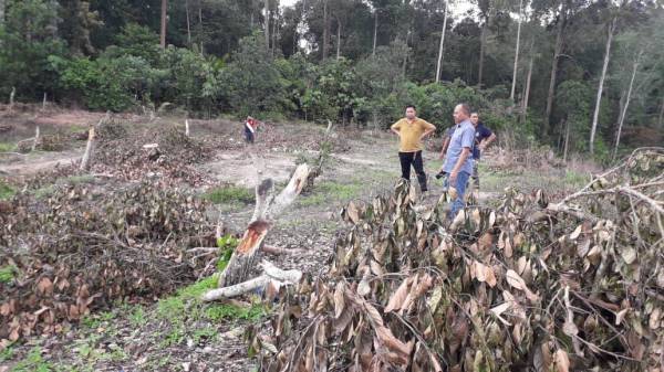 ADUN Muadzam Shah, Razali Kassim (kiri) yang turun padang meninjau tanaman pokok nangka madu diusahakan peserta musnah angkara gajah liar.