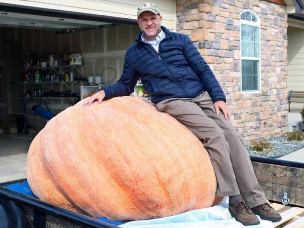 Andy Corbin hanya menanam labu bersaiz gergasi itu di halaman belakang rumahnya.- FOTO AGENSI