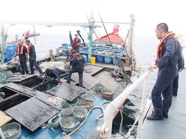 Penguatkuasa APMM Selangor menggeledah kotak simpanan ikan dalam sebuah bot ditahan. - FOTO ASRIL ASWANDI