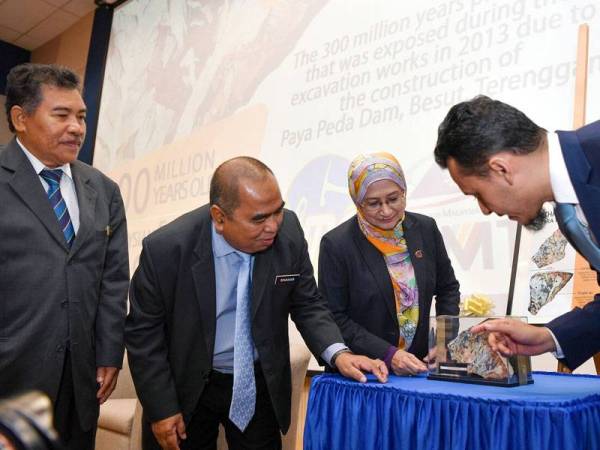 Ketua Pengarah Jabatan Mineral dan Geosains Malaysia Datuk Shahar Effendi Abdullah Azizi (dua, kiri) dan Naib Canselor Universiti Malaysia Terengganu (UMT) Prof Datuk Dr Nor Aieni Mokhtar (tiga, kiri) mendengar penerangan daripada Pengarah Institut Oseanografi dan Sekitaran UMT, Prof Madya Dr Mohd Fadzil Mohd Akhir (kanan) mengenai fosil tumbuhan yang dianggarkan berusia 300 juta tahun pada majlis penyerahan fosil kepada UMT hari ini. - Foto Bernama

