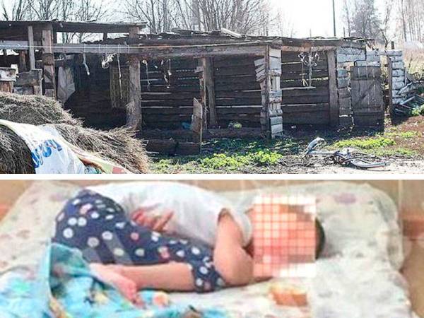 Diana tidur dalam kandang lembu.