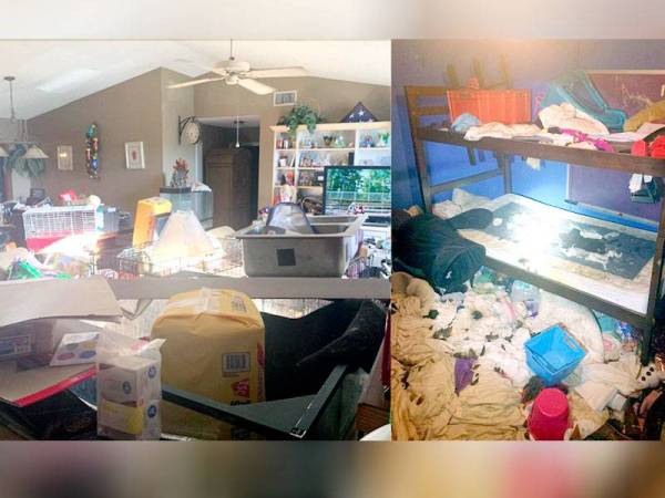 Keadaan di dalam rumah yang berbau busuk kerana turut menempatkan 245 haiwan.