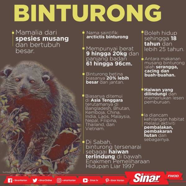 WhatsApp Image 2019-10-23 at 6.33.40 PM