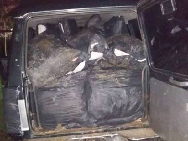 Antara rampasan guni disyaki mengandungi daum ketum dalam operasi Op Wawasan, baru-baru ini.