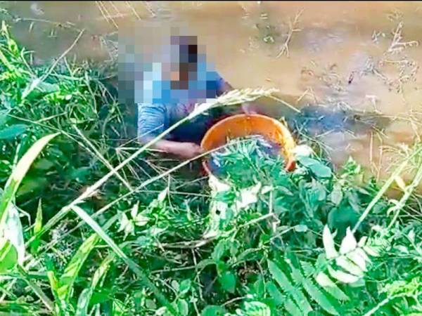 Seorang lelaki sedang mengutip ikan-ikan yang timbul di Kampung Batu 7, Jalan Changkat Jong berikutan pencemaran sungai yang berlaku di Sungai Sungkai Mati pada Sabtu lalu.
