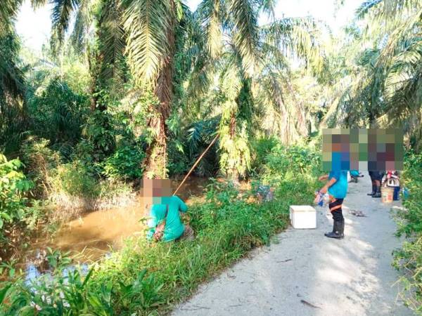 Orang ramai sedang mengutip ikan yang timbul di Kampung Batu 7, Jalan Changkat Jong berikutan pencemaran sungai yang berlaku di Sungai Sungkai Mati pada Sabtu lalu.