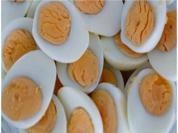 Gara-gara tidak dapat makan telur, seorang isteri di India sanggup meninggalkan suami dan lari bersama kekasihnya. - Foto: Gambar hiasan