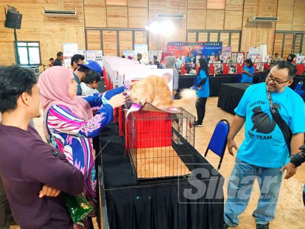 Pengunjung ‘bermanja’ dengan kucing yang dipamerkan sempena Sambutan Hari Kebajikan Haiwan 2019 di MAEPS.