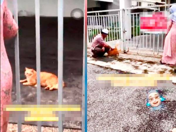 Aksi kucing 'merajuk' cuit hati netizen.