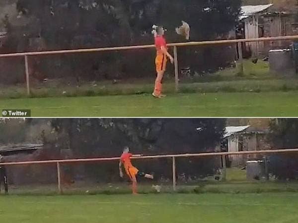 Ivan Gazdek menendang hingga mati seekor ayam yang memasuki padang ketika satu perlawanan bola sepak di Croatia. - Foto Agensi