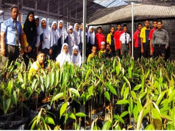Murid Pendidikan Khas Tanam Durian Hibrid
