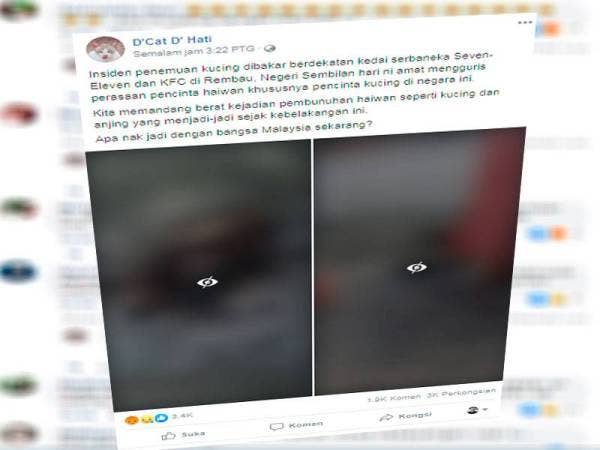 Gambar yang dikongsi oleh D'Cat D' Hati di laman Facebook kini tular di media sosial yang kini meraih 3,400 tanda suka dan 3,000 berkongsi gambar tersebut.