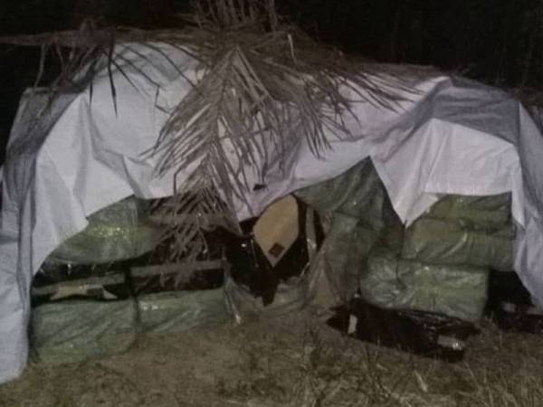 Antara rokok seludup bernilai RM871,500 yang dirampas PGA dalam operasi dalam ladang kelapa sawit di Ladang Tumbok, Tanjung Sepat Banting, Selangor semalam.