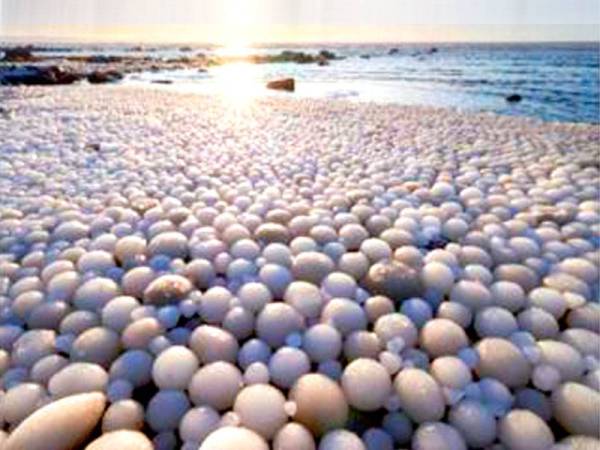 Gambar yang dirakamkan oleh Risto Mattila di Pulau Hailuoto pada Ahad.