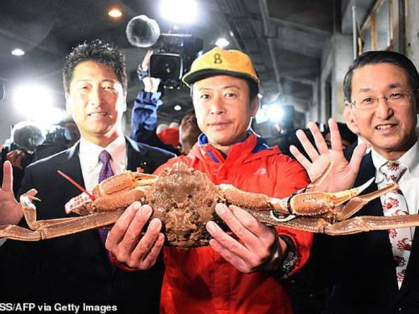 Seekor ketam salji mencatatkan rekod dunia yang dibida sebanyak £36,000 (RM191,000) di Jepun semalam.