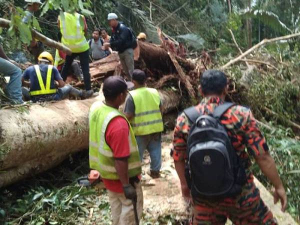 Keadaan runtuhan tanah dan pokok tumbang di laluan Bukit Larut.