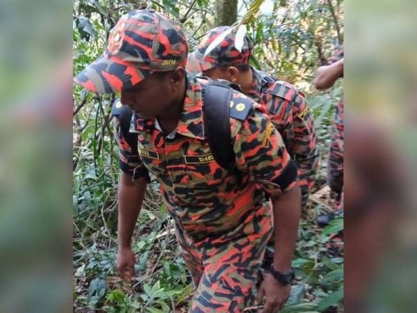 Anggota bomba membuat laluan mendaki di hutan bukit itu iaitu kira-kira 100 meter dari kawasan runtuhan untuk menyelamatkan mangsa.
