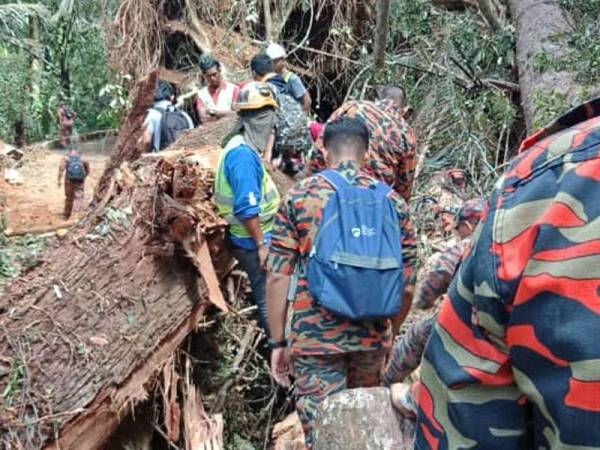 Keadaan runtuhan tanah dan pokok tumbang di laluan Bukit Larut.
