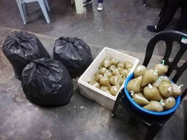 61 bungkusan air ketum siap diproses dan lebih 11 kilogram daun ketum yang ditemui di sebuah restoran tomyam, semalam.