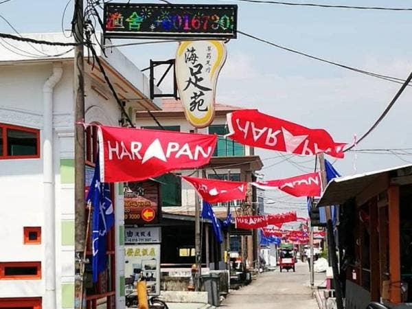 Suasana dan poster parti bertanding yang menghiasi Perkampungan Nelayan Air Masin, Kukup menjelang PRK Tanjung Piai, 16 November ini.
