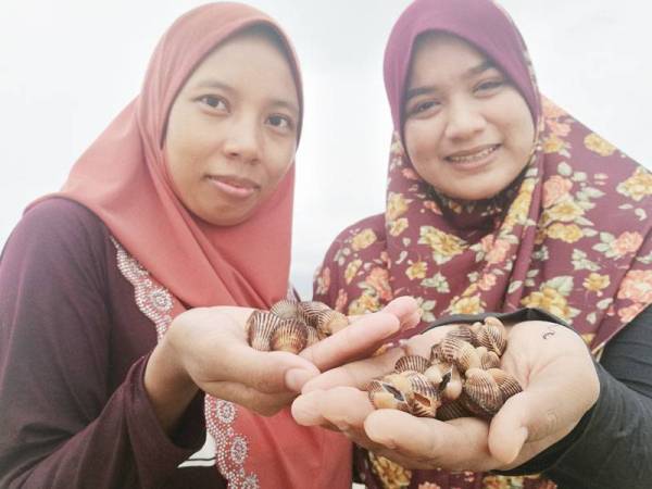 Norul Asmahanim (kiri) dan Norlelawati menunjukkan kerang bulu yang diperoleh.