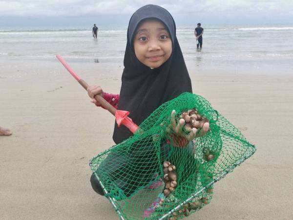 Seorang kanak-kanak tidak melepaskan peluang mencari kerang di pantai Rhu Dua di sini semalam.