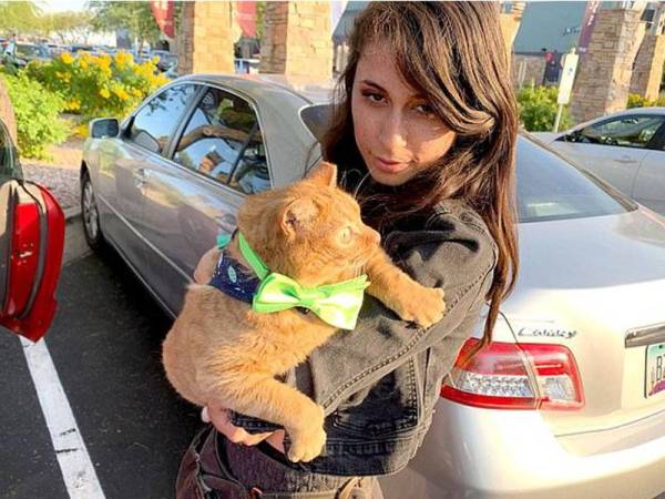 Ashley Norlien gemar memuat naik gambar Potato di laman sosial. - Foto Caters News Agency
