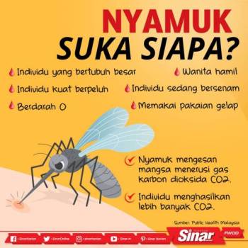 Kenapa Nyamuk Asyik Gigit Saya