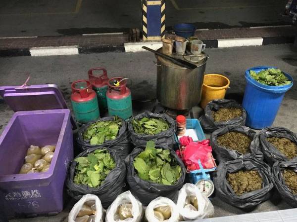 Peralatan memproses air ketum yangdirampas. - Foto Ihsan IPD Gombak