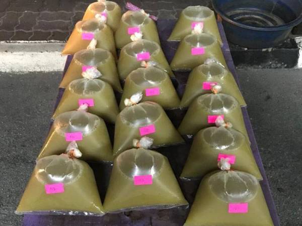 Air ketum yang siap dibungkus untuk dijual kepada pelanggan. - Foto Ihsan IPD Gombak