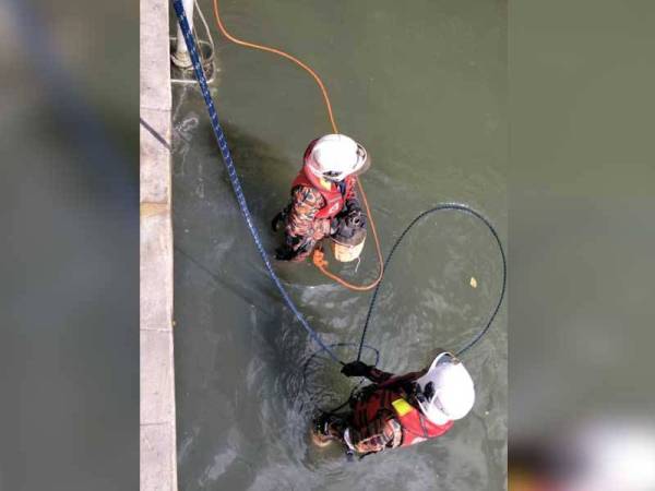 Anggota bomba bertungkus lumus menyelamatkan kucing liar yang terjatuh ke dalam Sungai Segget pagi tadi. - Foto ihsan Balai Bomba dan Penyelamat ( BBP) Larkin