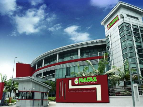 Pertubuhan Peladang Kebangsaan.- Foto: nafas.com.my