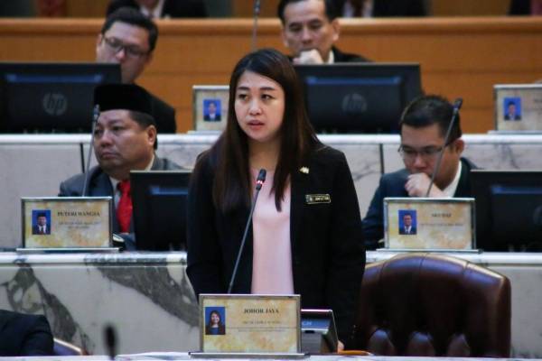 Exco Pelancongan, Pembangunan Wanita, Keluarga Dan Masyarakat negeri, Liow Cai Tung.