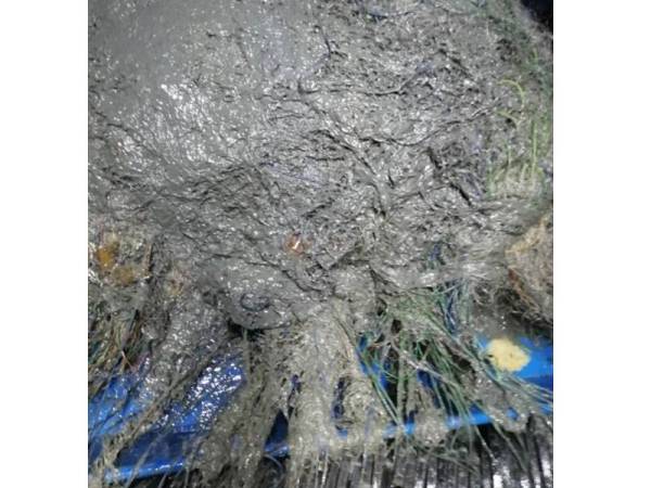 Pukat milik nelayan dipenuhi lumpur dan selut