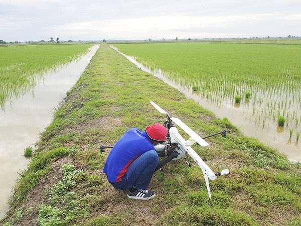 PELATIH Aviator Training Programme (ATP) mengendalikan teknologi dron untuk perkhidmatan penyemburan tanaman padi bermula hujung bulan ini.
