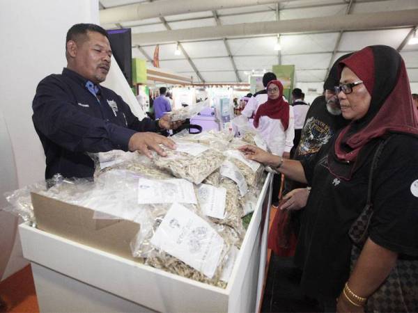 Pengunjung HPPNK 2019 membeli ikan bilis yang dibawa dari Terengganu.