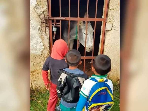 'Banduan' berkaki empat itu menerima kunjungan kanak-kanak.