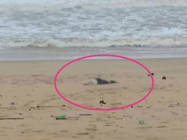 Kedudukan mayat ketika ditemui di pantai Kampung Pasir Putih, Merchang petang tadi