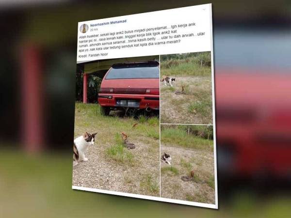 Paparan Facebook Noohashim Mohamad tular di laman sosial.