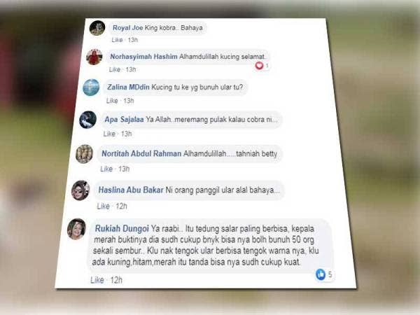 Komen daripada netizen.