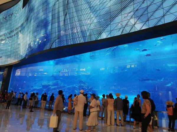 DUBAI Aquarium. 