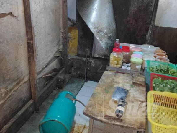 Bahagian dalam premis yang tidak terurus dan kotor boleh mengundang serangga dan haiwan