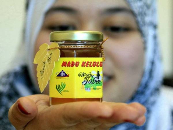 Madu Jabee merupakan madu kelulut premium yang mengandungi bahan bioaktif stevioside. - Foto Prof Madya Dr Shamsul Bahri